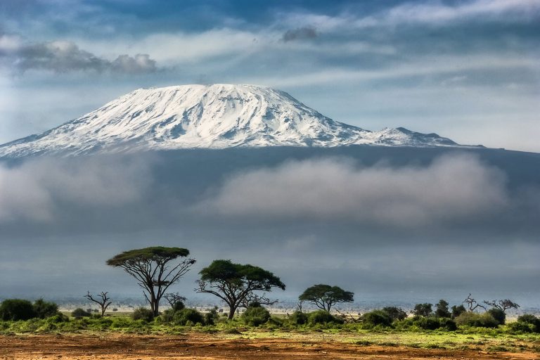 7 Days Mount Kilimanjaro Lemosho Route