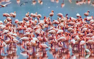 Lake Manyara